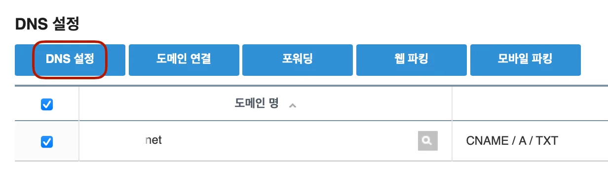 DNS 설정